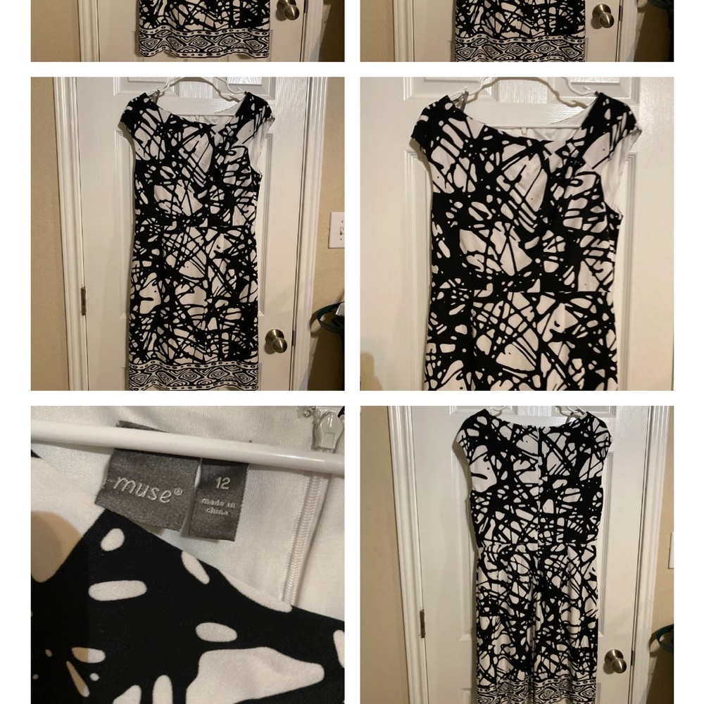 Muse - Picture 6 of 13